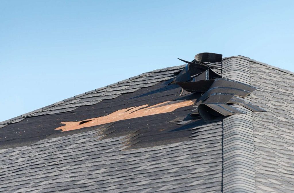 roof maintenance