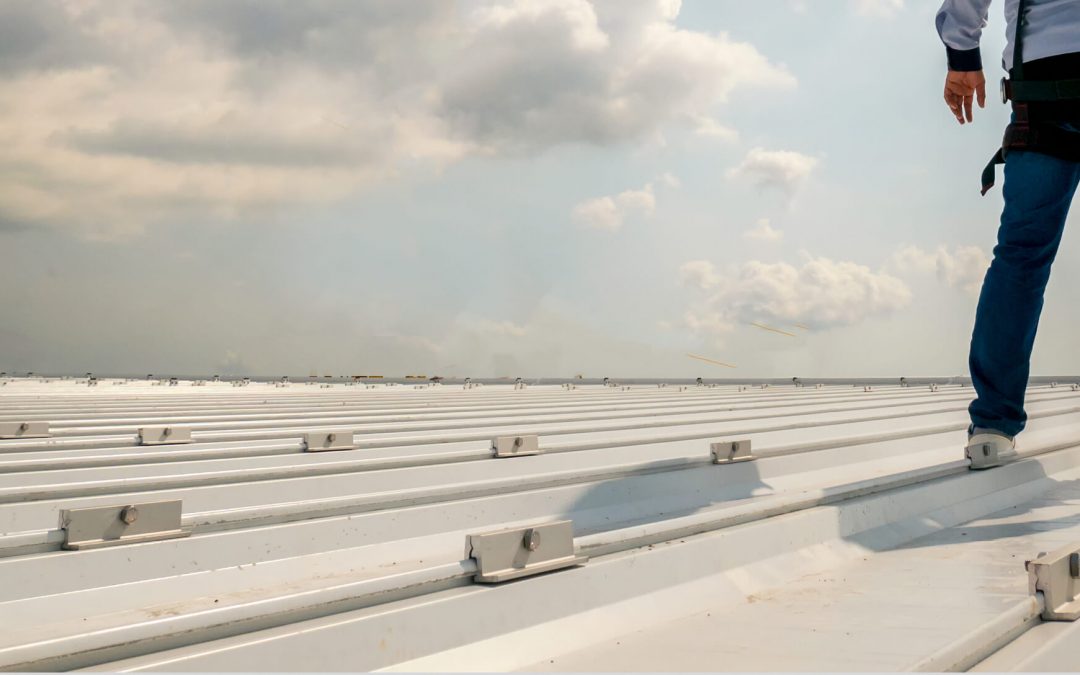 Why a Membrane Roof is a Smart Investment for Your Business’s Flat Roof