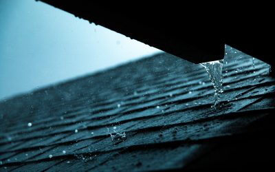How Much Damage Does Hail Do to My Roof? ABF Roofing Explains