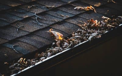 Why Gutter Cleaning is a Must for Your Lubbock Home’s Roof
