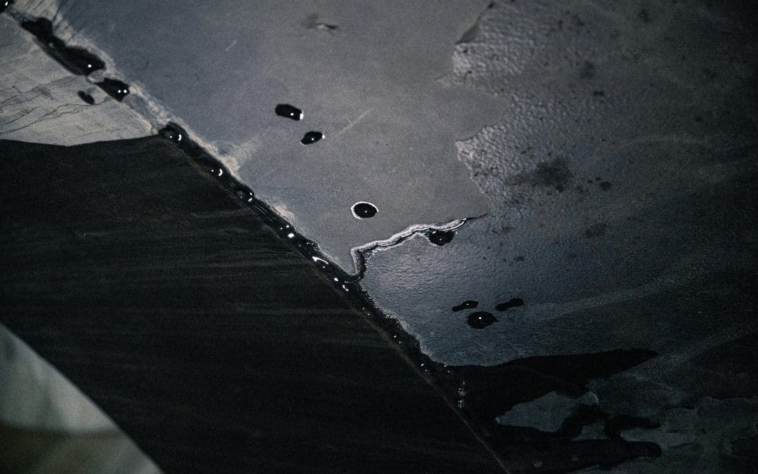 From Leak to Repair: Your Guide to a Healthy Roof
